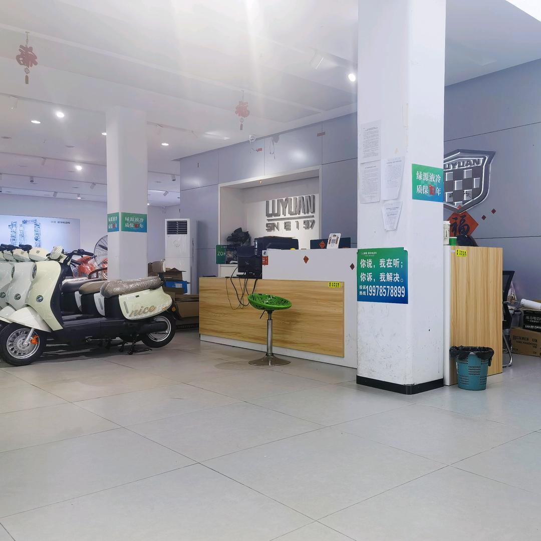 绿源电动车(贵港旗舰店)