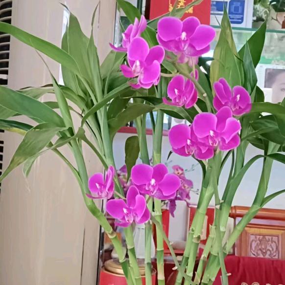 曲方净颜皮肤管理(清华源店)