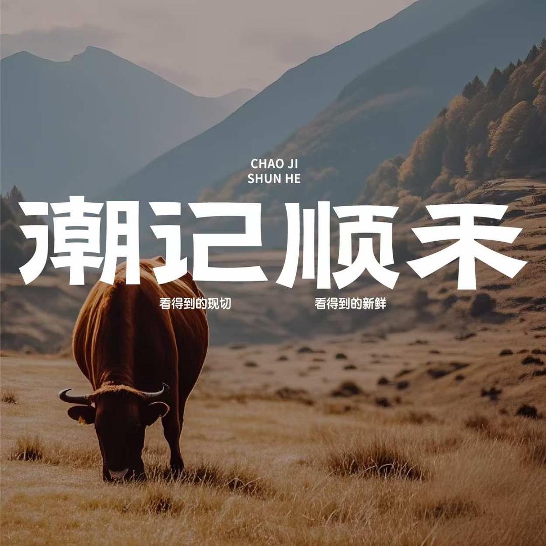 潮记顺禾鲜牛肉火锅