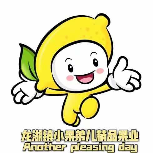 龙湖小果弟儿总店