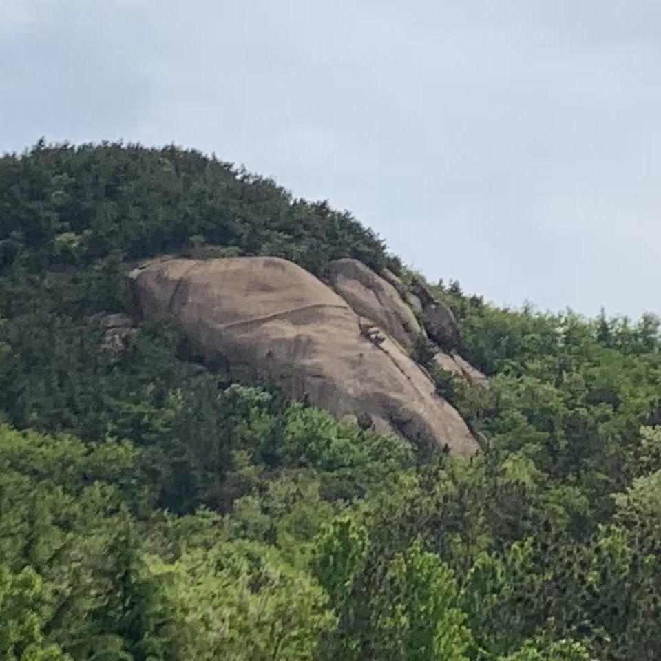 伟腾宇斌|行知作直播号