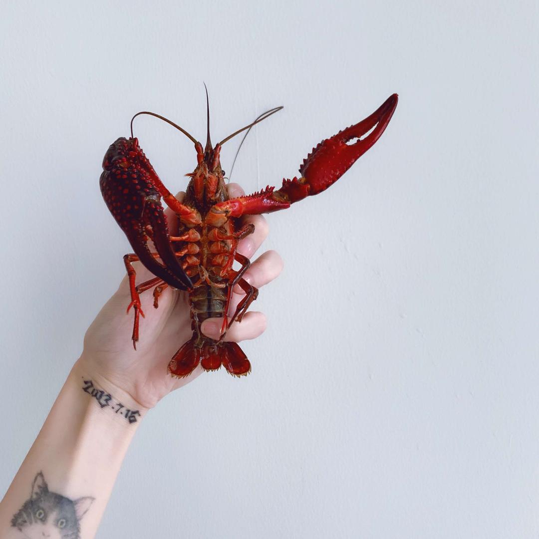 等味小龙虾（天津12年老店）