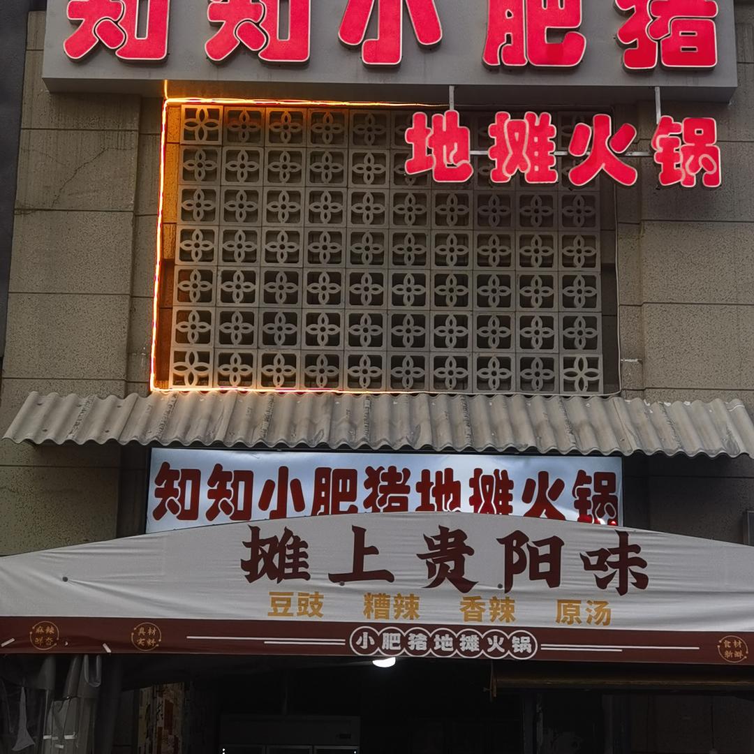 知知小肥猪官方号