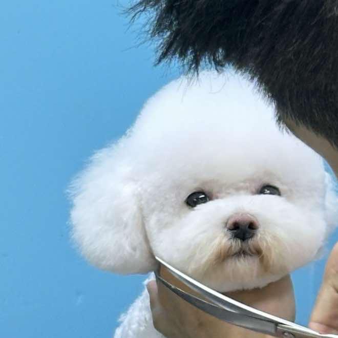 二道区呆小二萌宠宠物馆