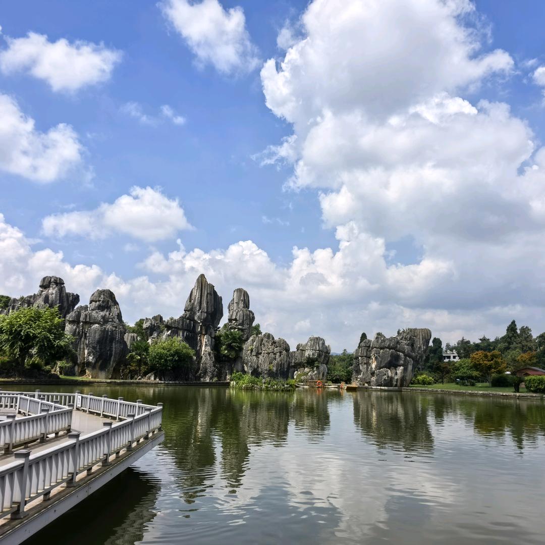 好运天天在泽妮洱