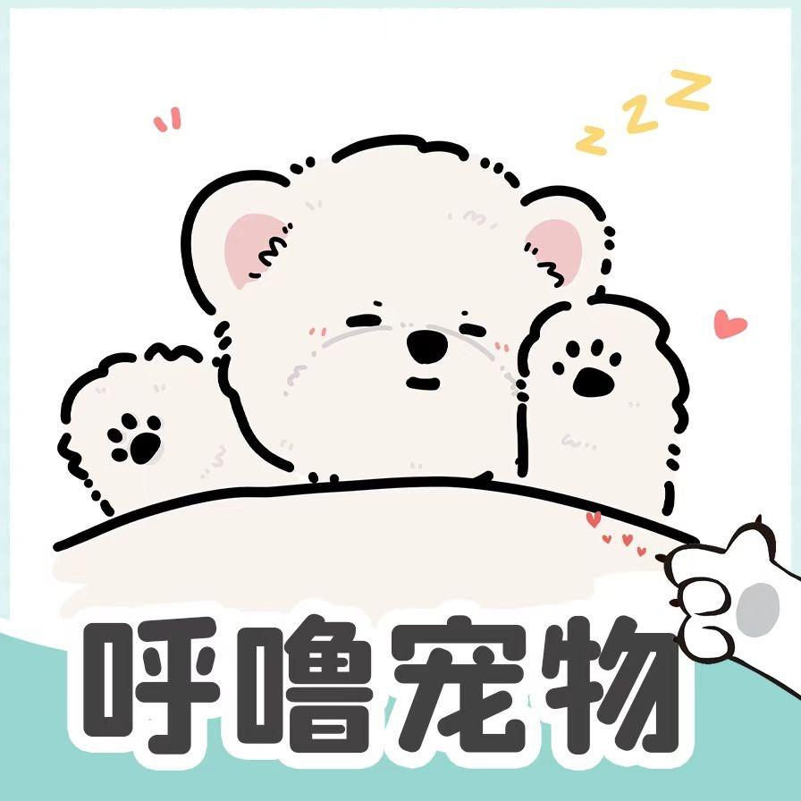 呼噜宠物官方号