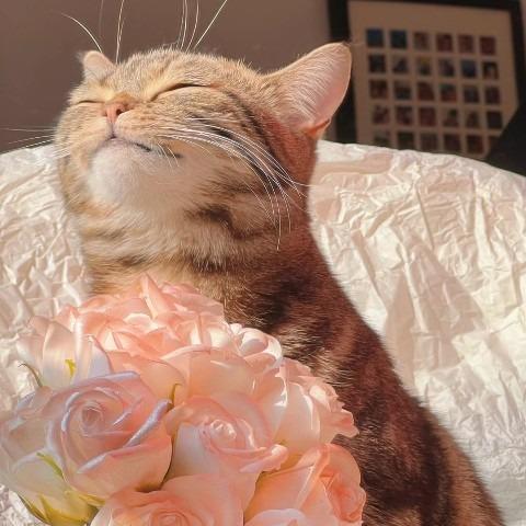 佛山市任晌科技有限公司.