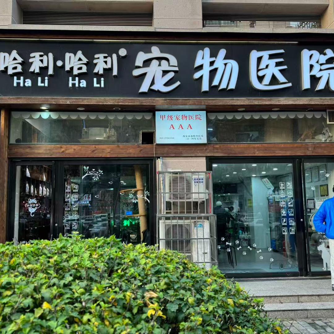 哈利哈利宠物医院
