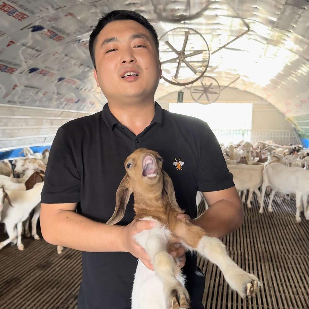 盘羊小馆杨松
