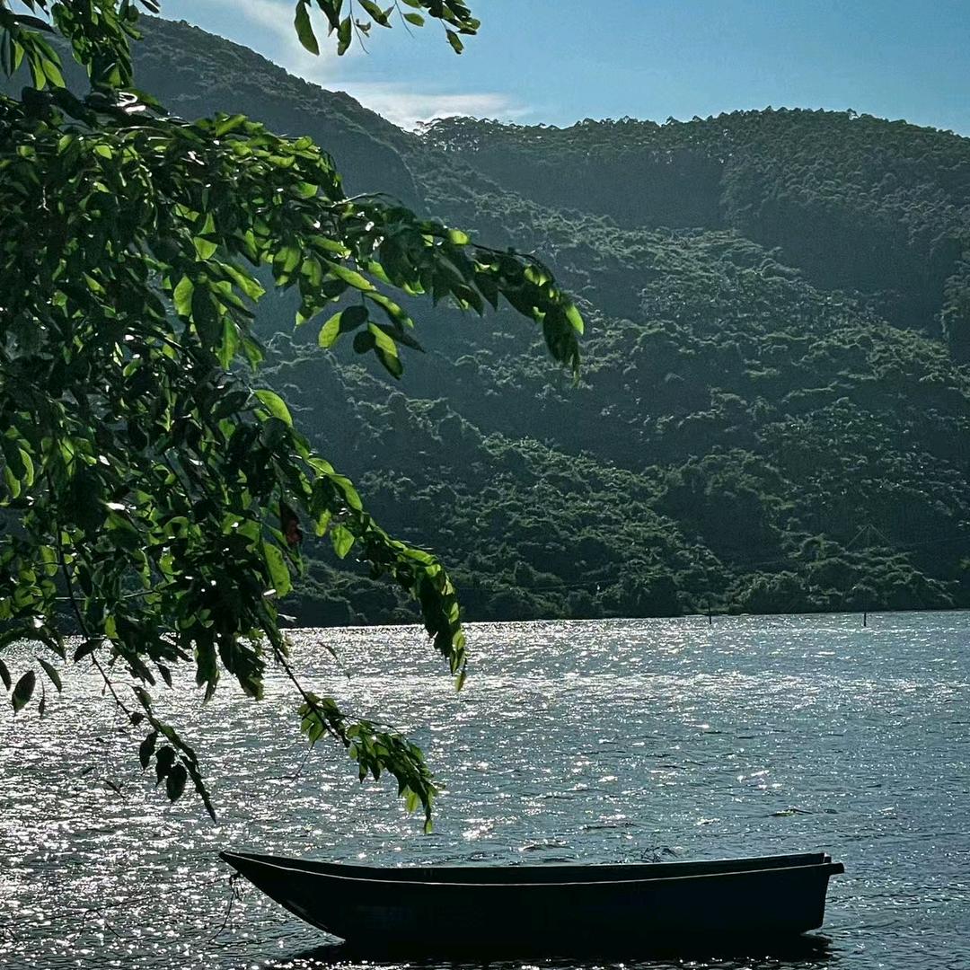 小岛地主婆直播号