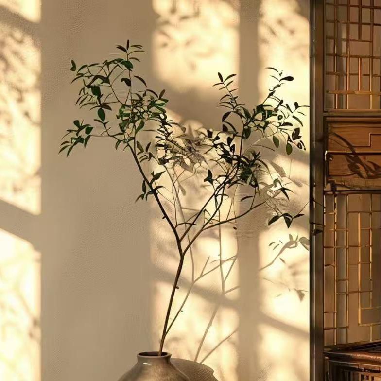 裴之双李老师经营号