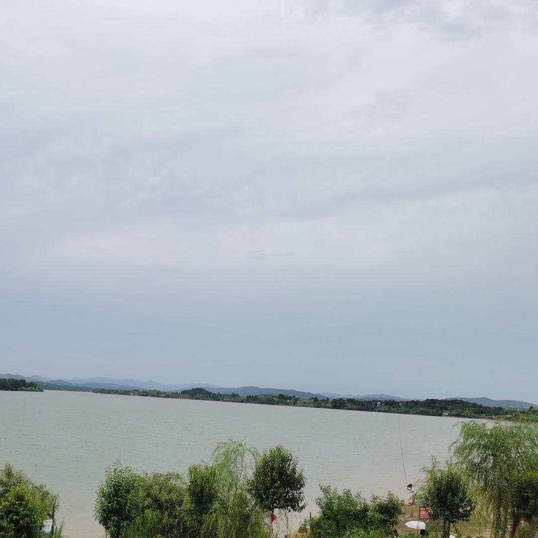 意岚3号直播号