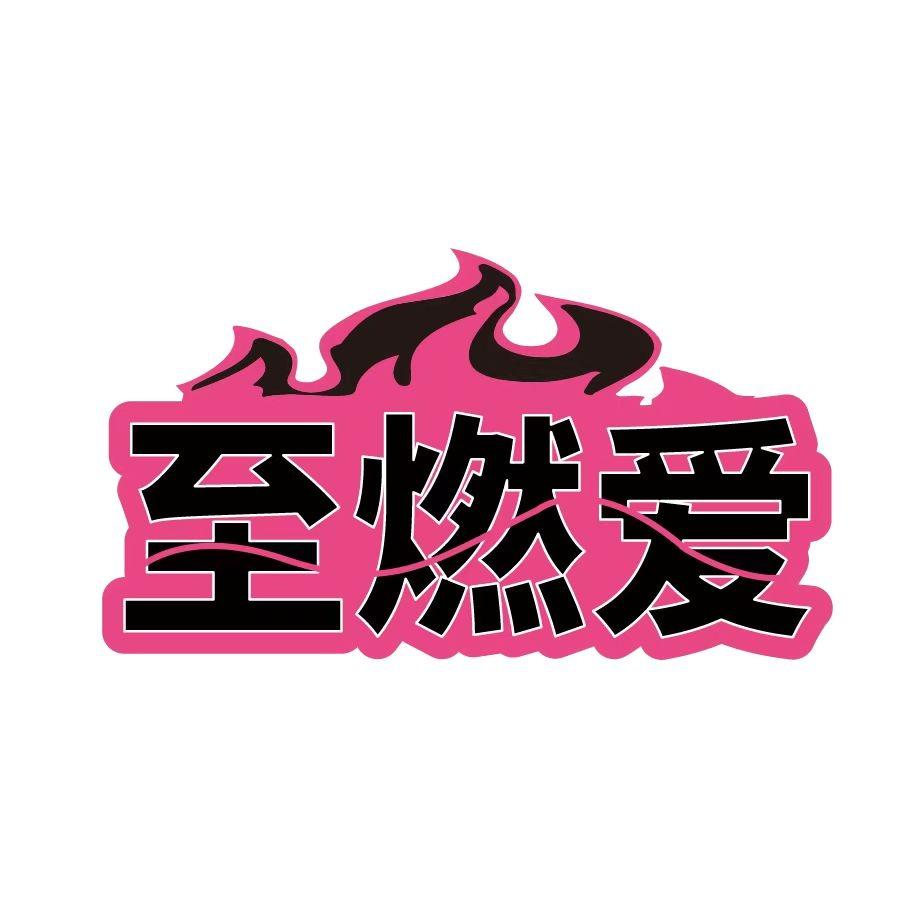 至燃爱刘老师泊仕汀