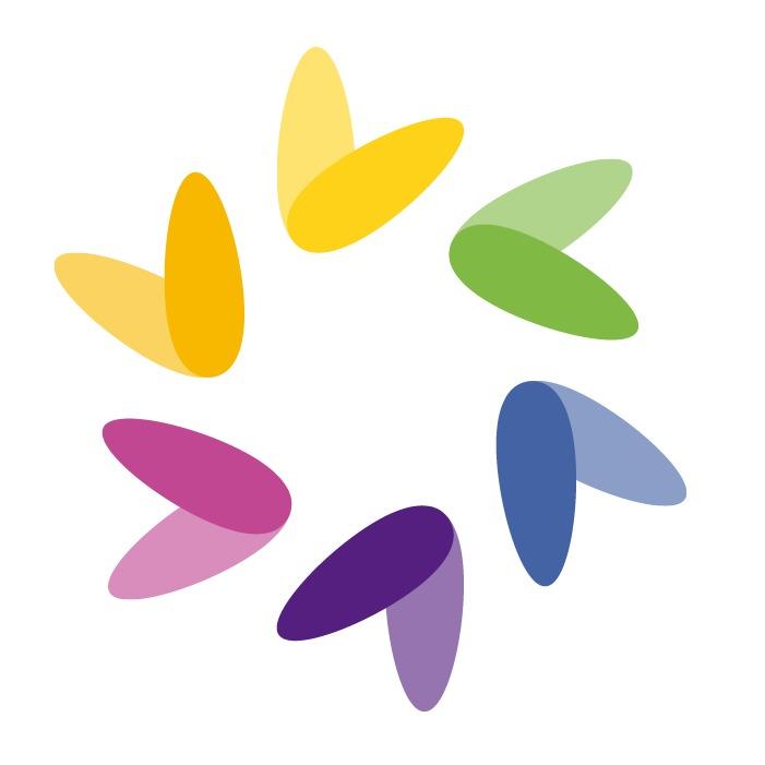 西美之旅 新疆直播间