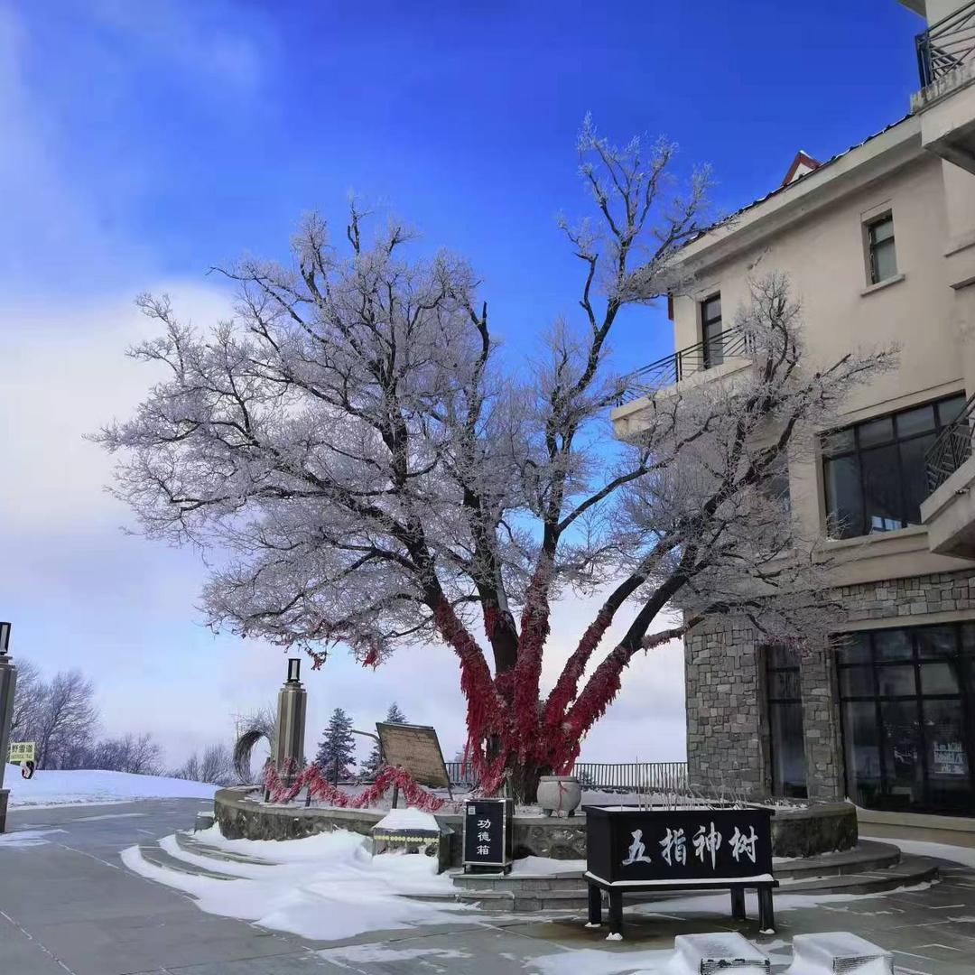 亚布力滑雪·小杜