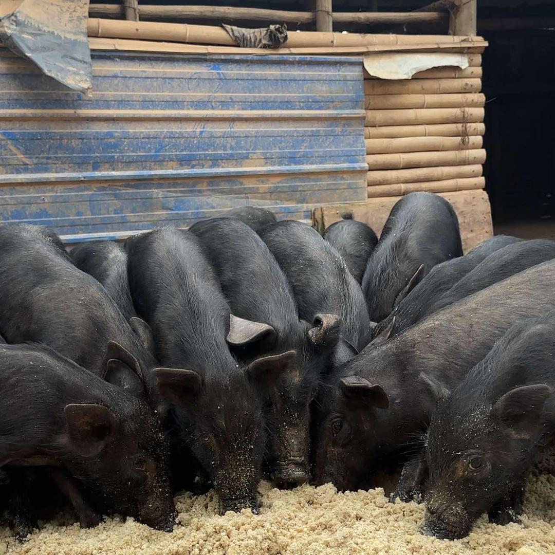 邱驰藏香猪肉（赣州梅江路店）