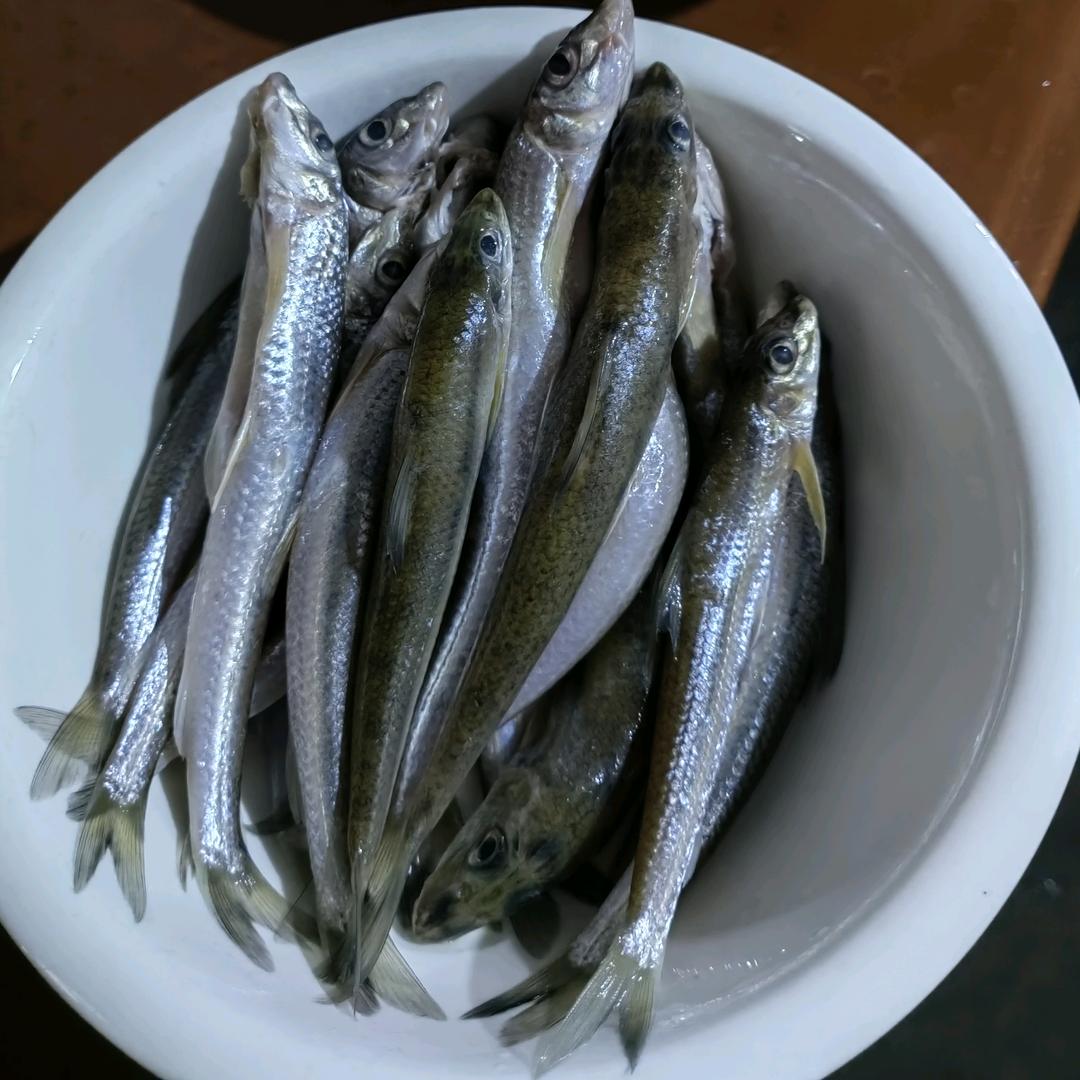 分宜县香辣甲鱼（可教学）