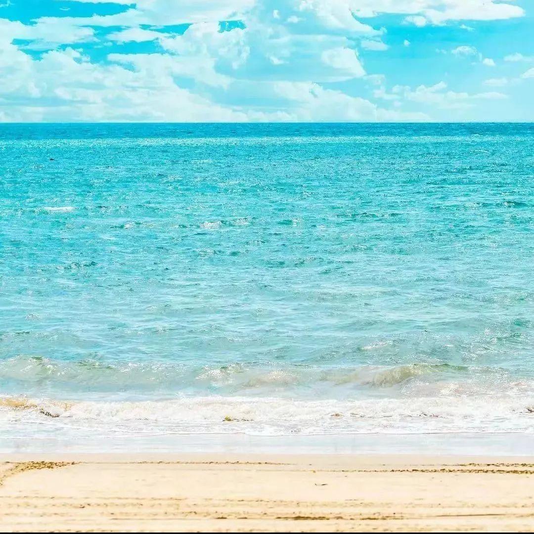 写生昌源中路直播号