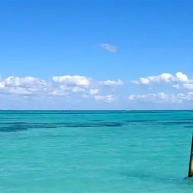 梦动中端生活号