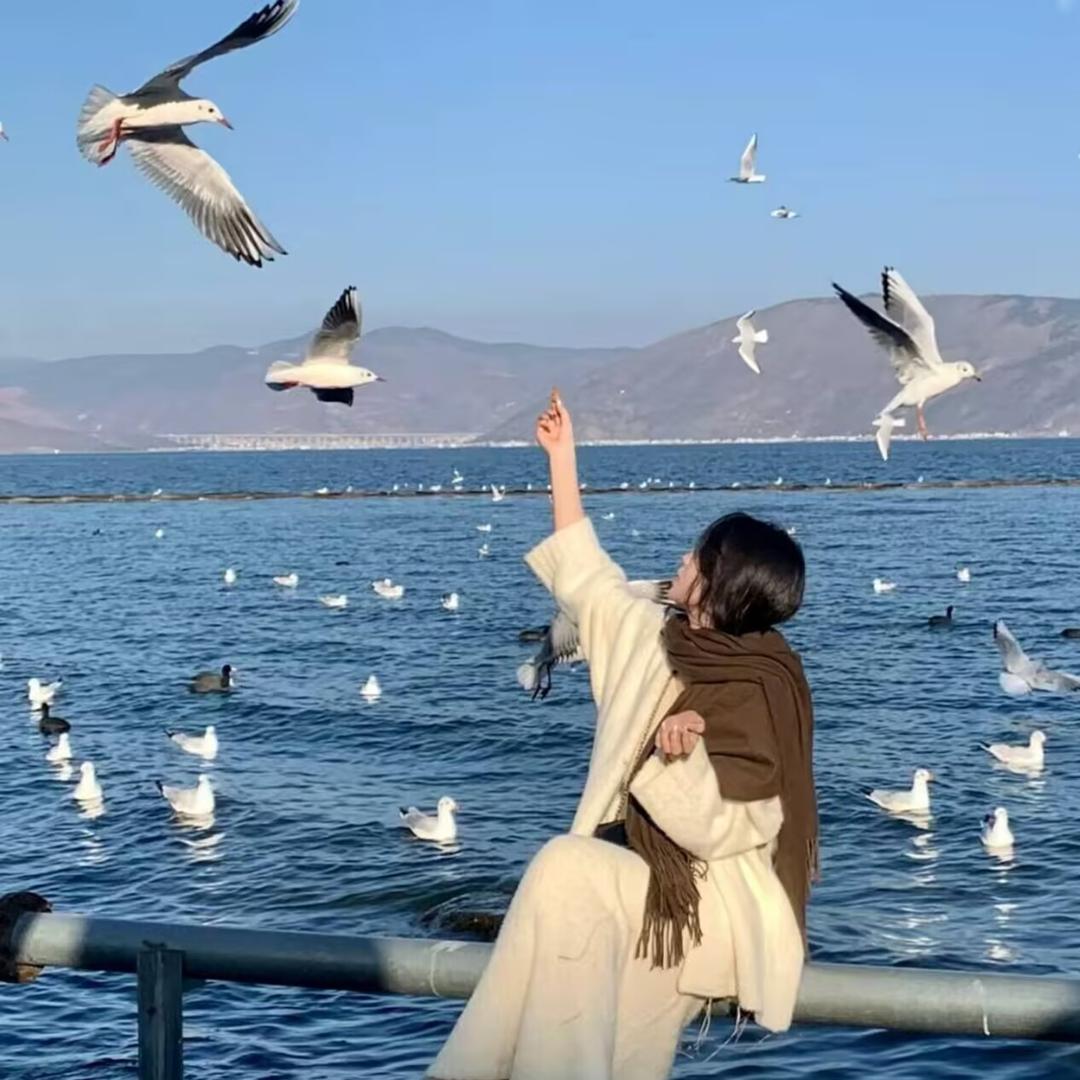 景苏游记