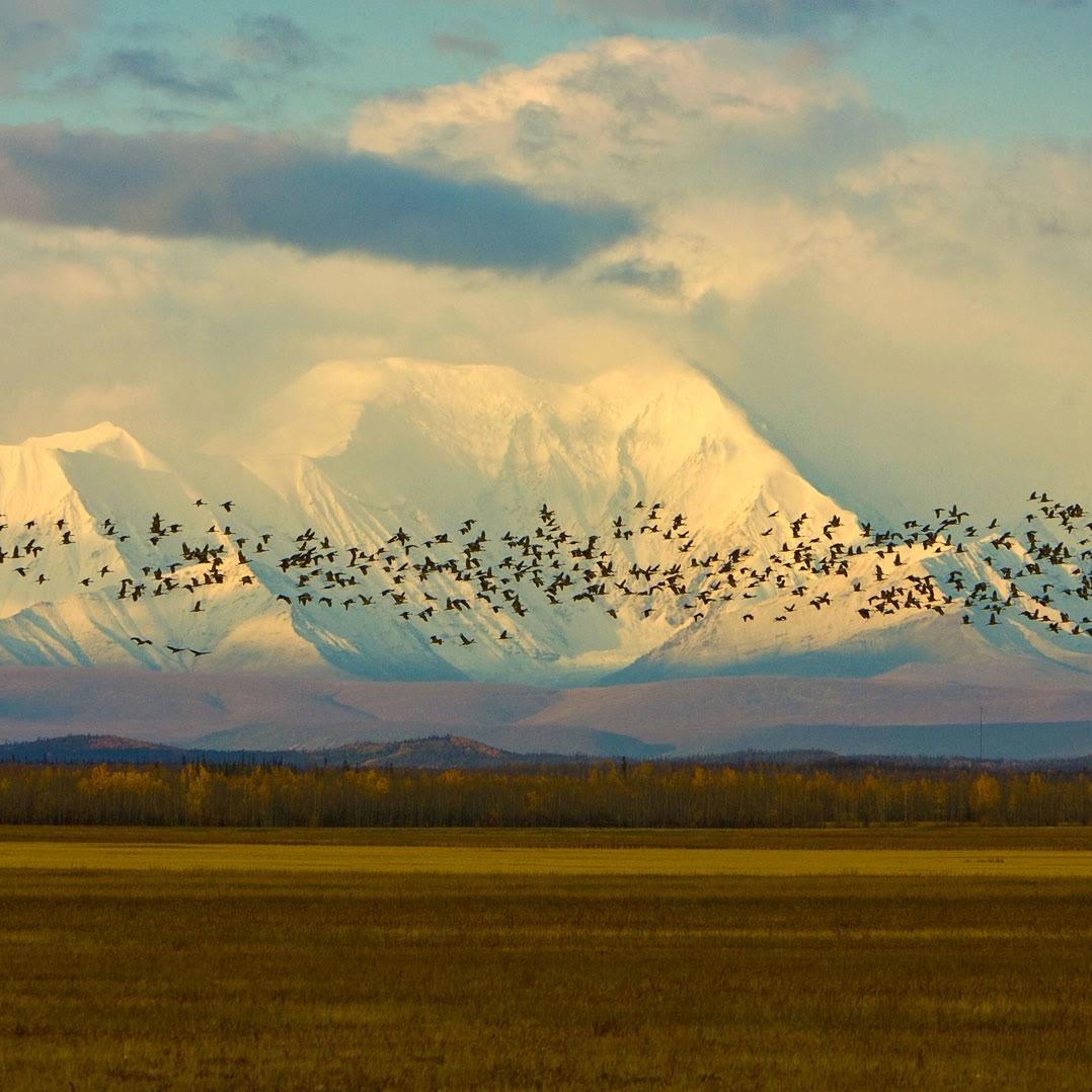 广州赵阴机械设备有限公司