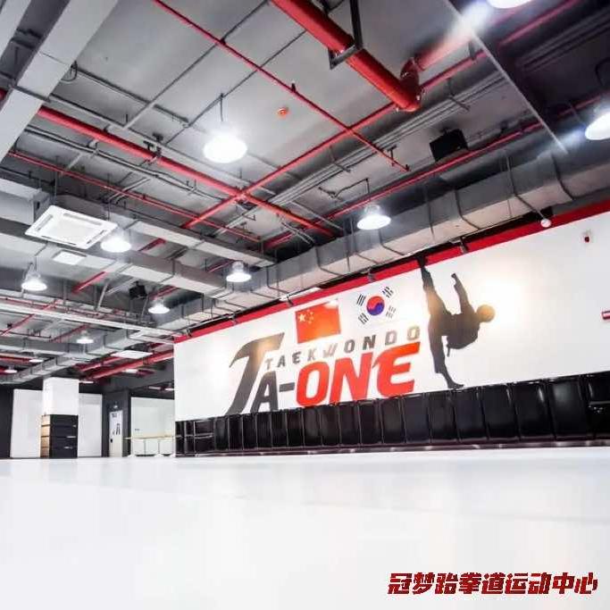 青岛冠梦运动TA1跆拳道