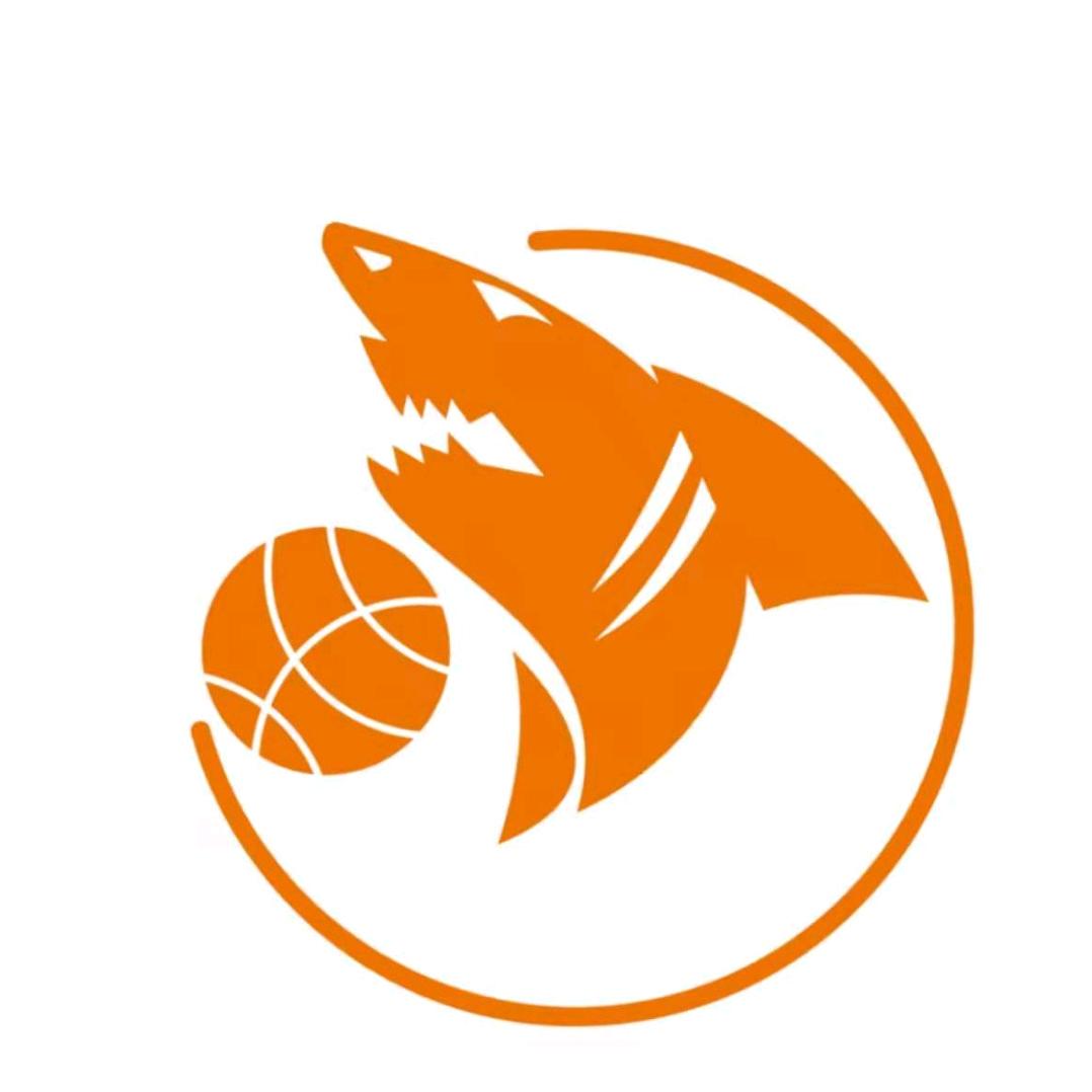 大鲨鱼少儿篮球馆(百捷金街店)官方号