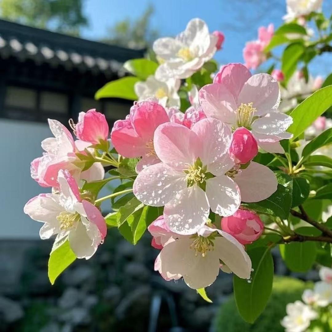 深圳市君豪华广告直播66号