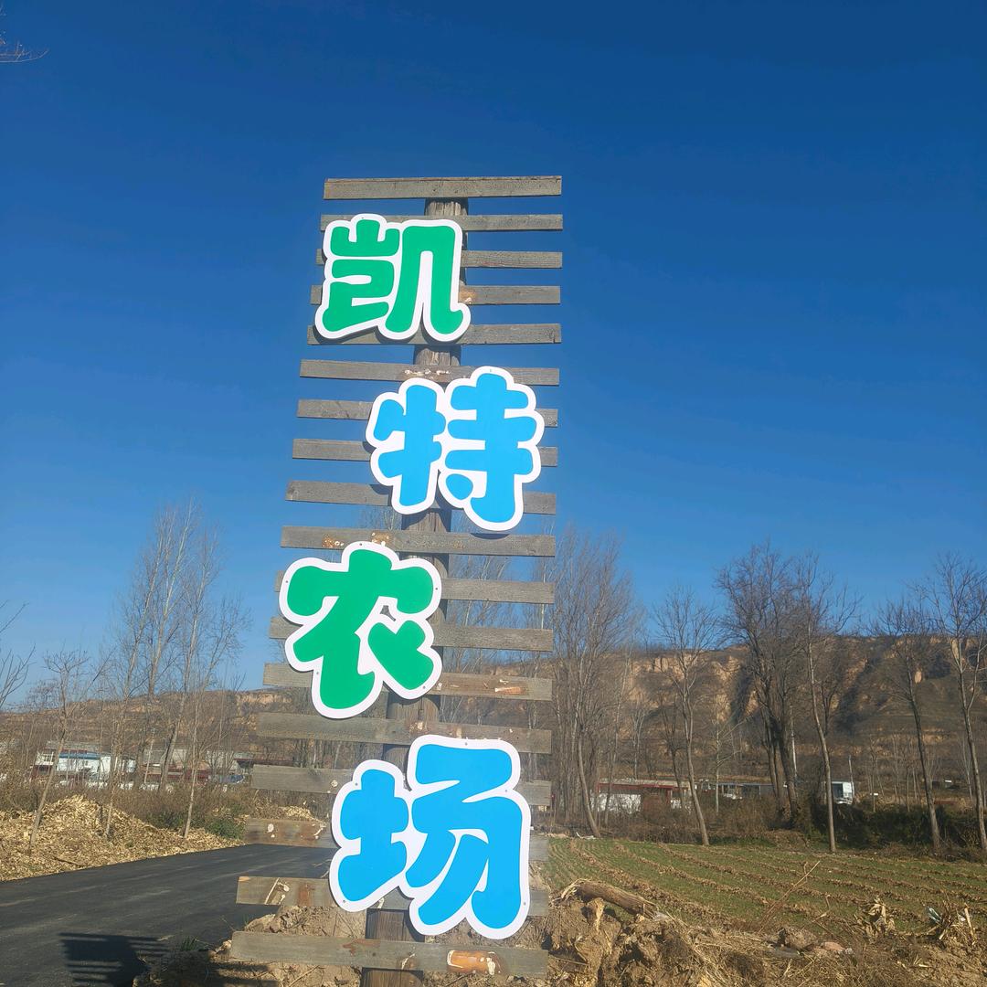 凯特儿童农场官方号