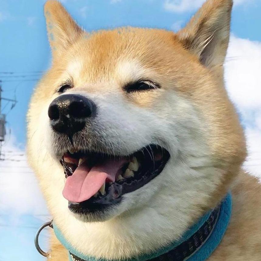 多亿轩福利号