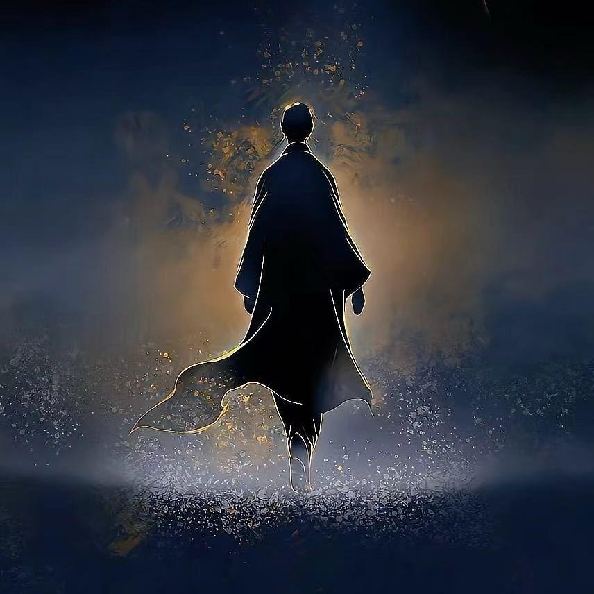 栗备师兄直播号