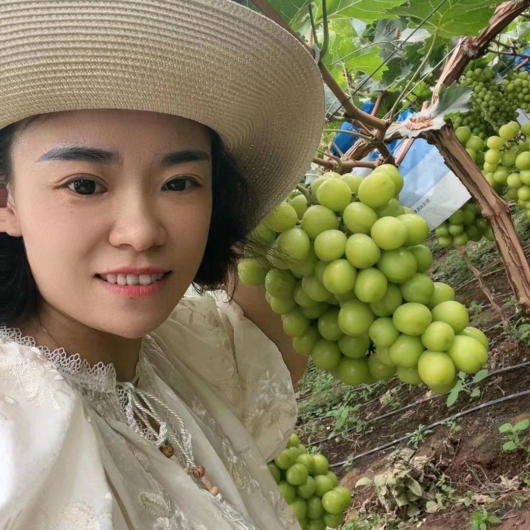十叁产地水果