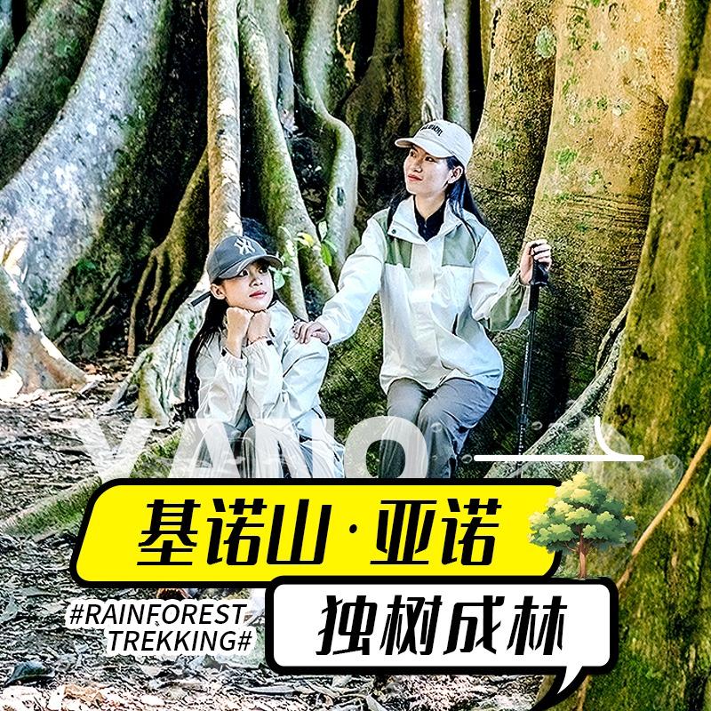 基诺山亚诺独树成林雨林
