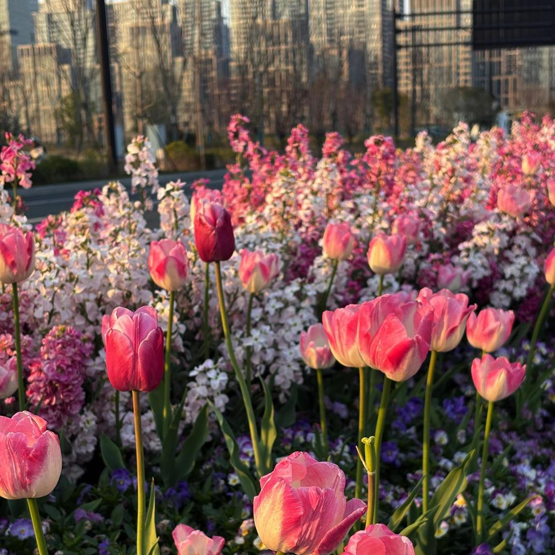 傅魄东东百货号