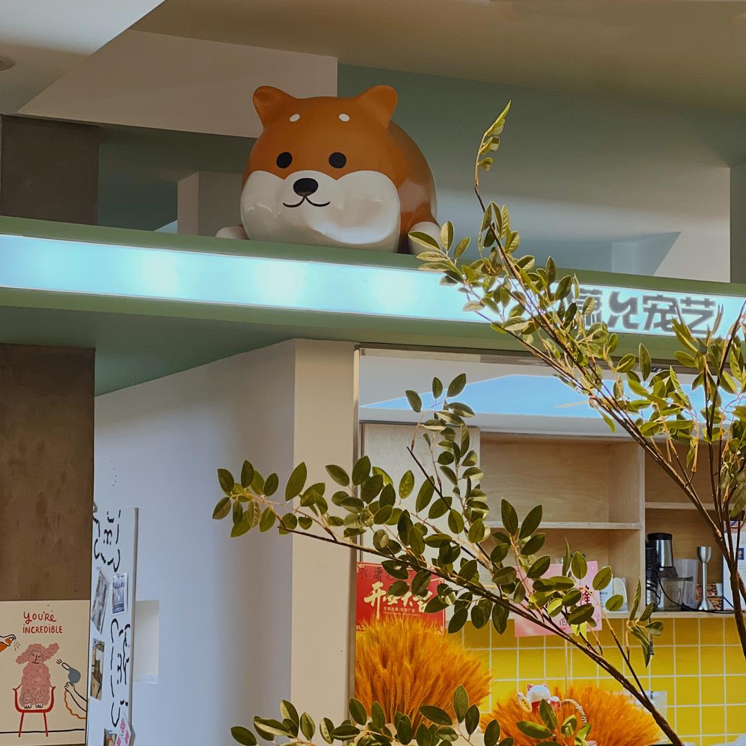 潇允宠艺-观澜国际店