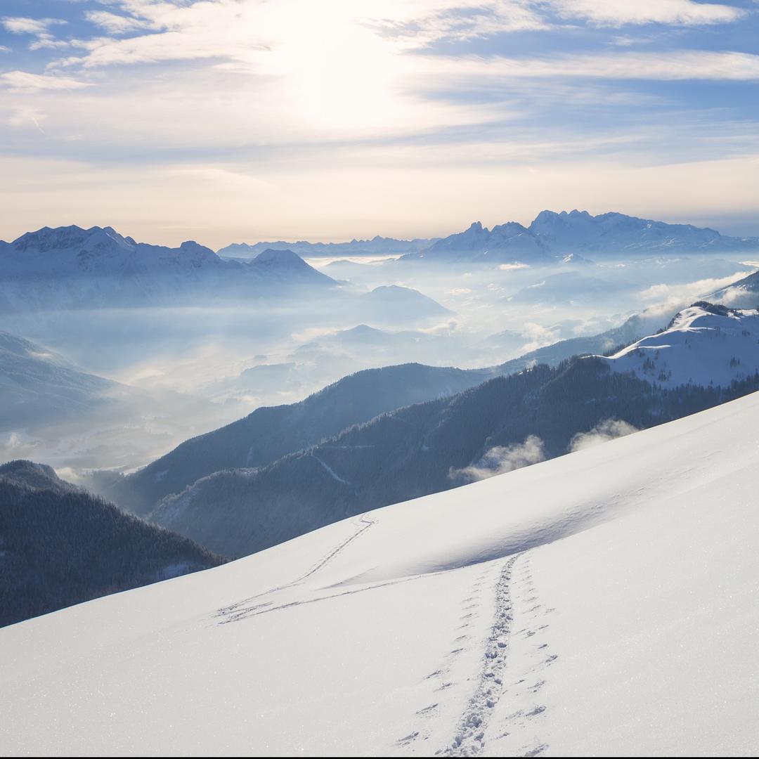 小狄速购熊直播号