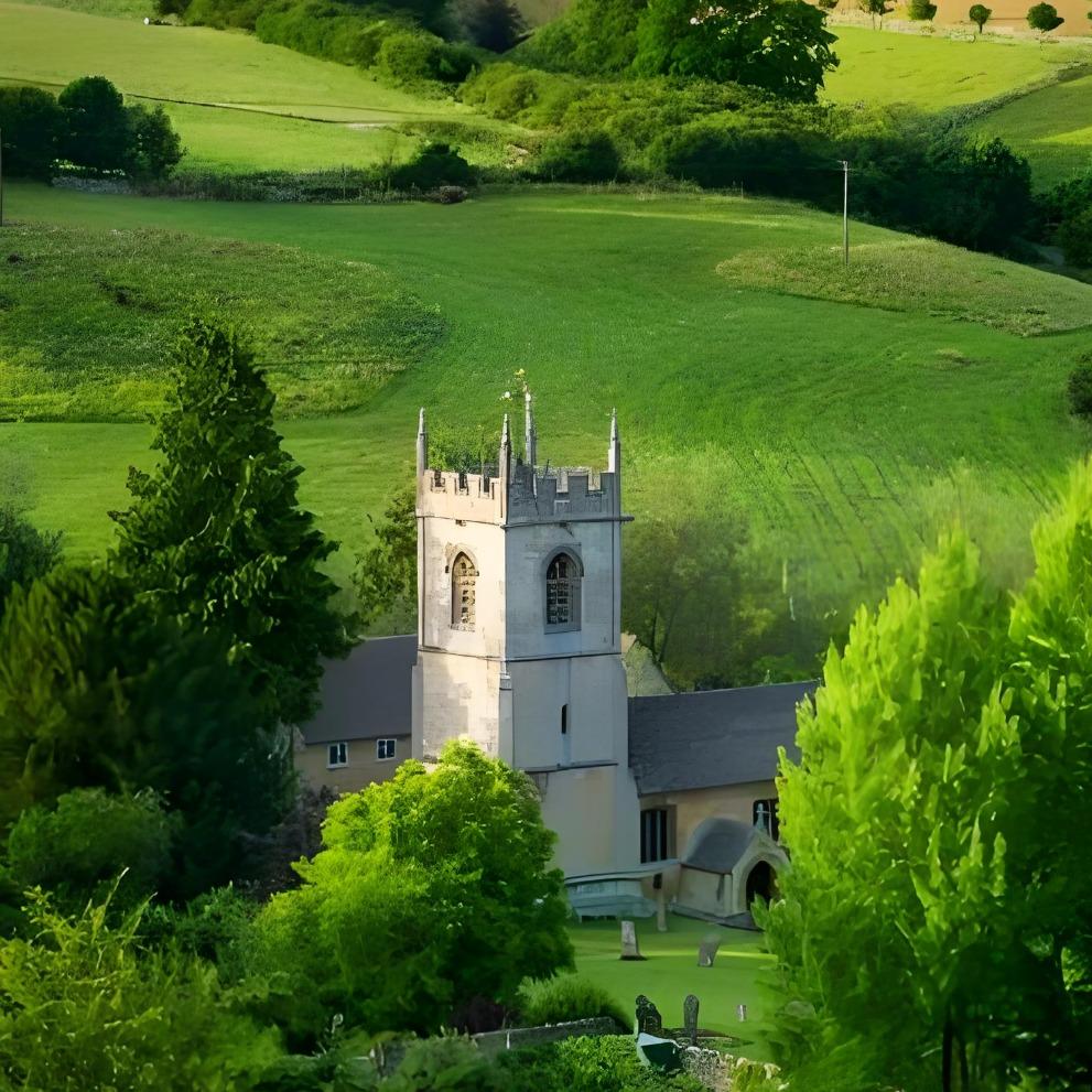(旭芙黄)宠粉号