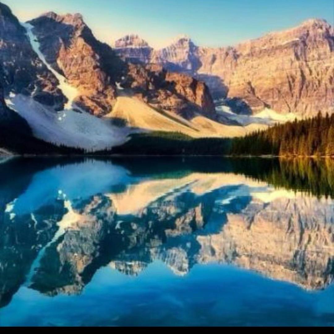 小二狗ui直播号