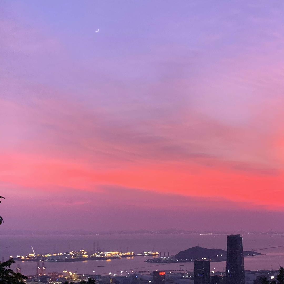 棉奇商贸元元销售号