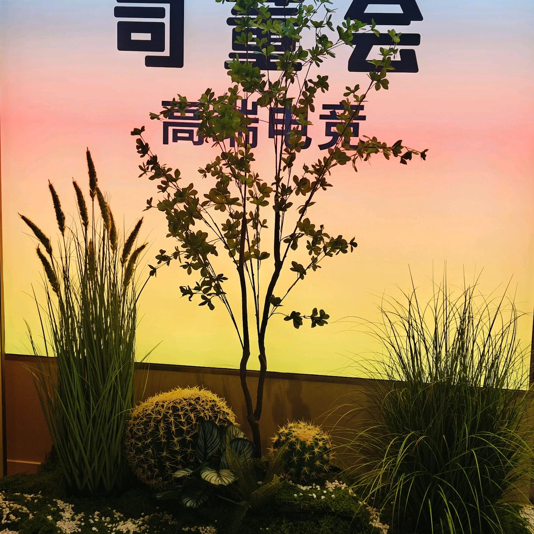 司董会高端电竞官方号