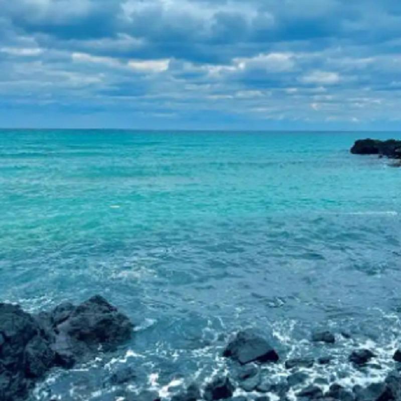 唐三两打酒铺(金湖南路店)唐三两(笑笑)直播号