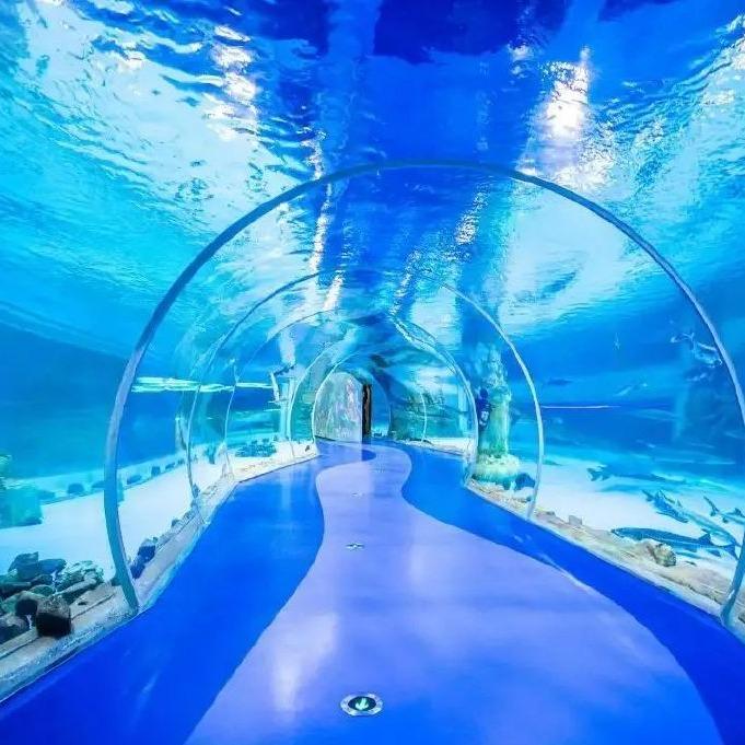 原始森林公园湄公河水底世界