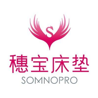 穗宝床垫武汉汉西店
