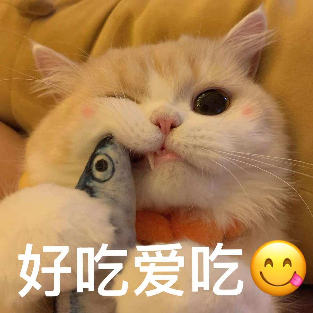 朵朵渔海鲜水产官方号