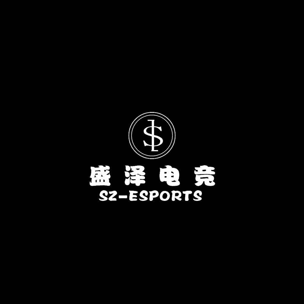 盛泽电竞