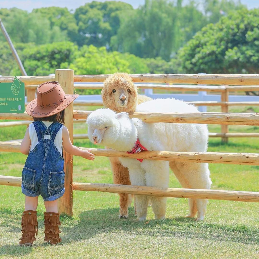 DUDU FARM·嘟嘟农场