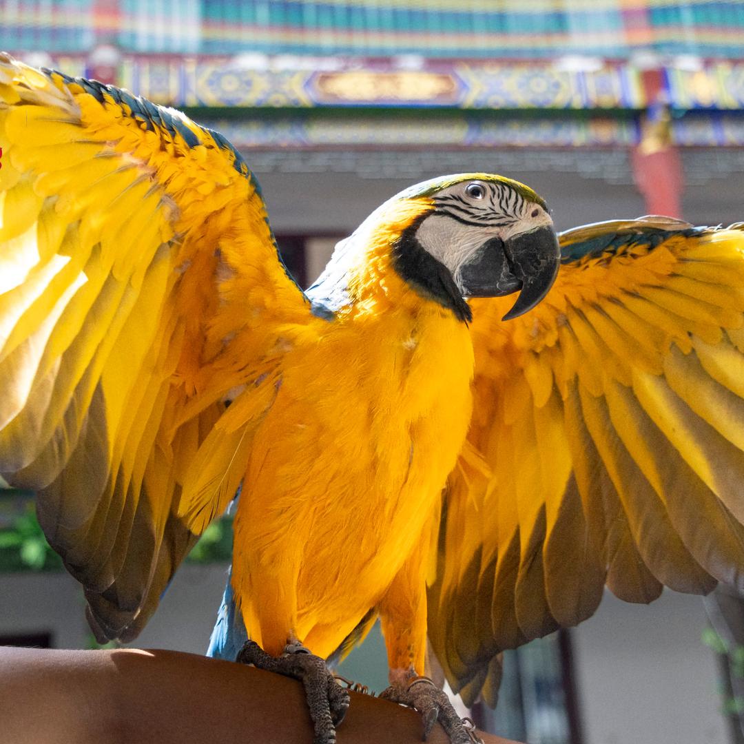 平潭麒鸟林萌宠乐园