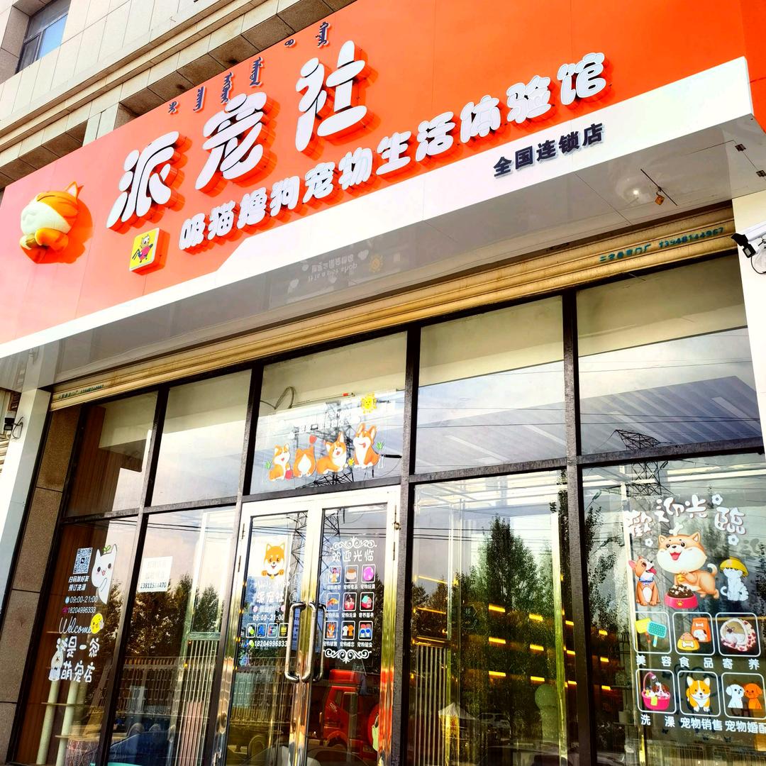 派宠社吸猫撸狗宠物生活体验馆官方号