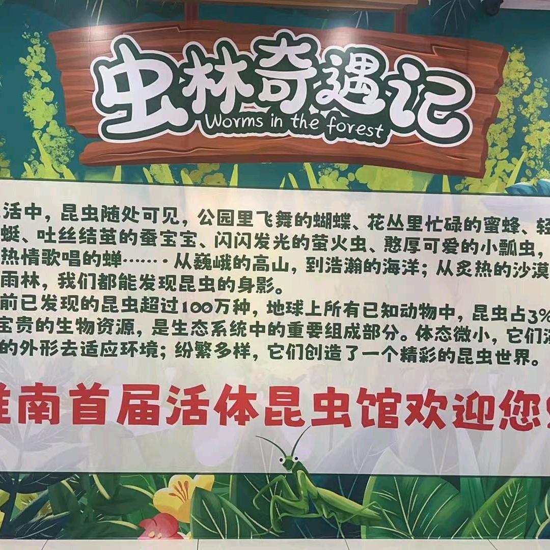 虫林奇遇记淮南活体昆虫展览馆