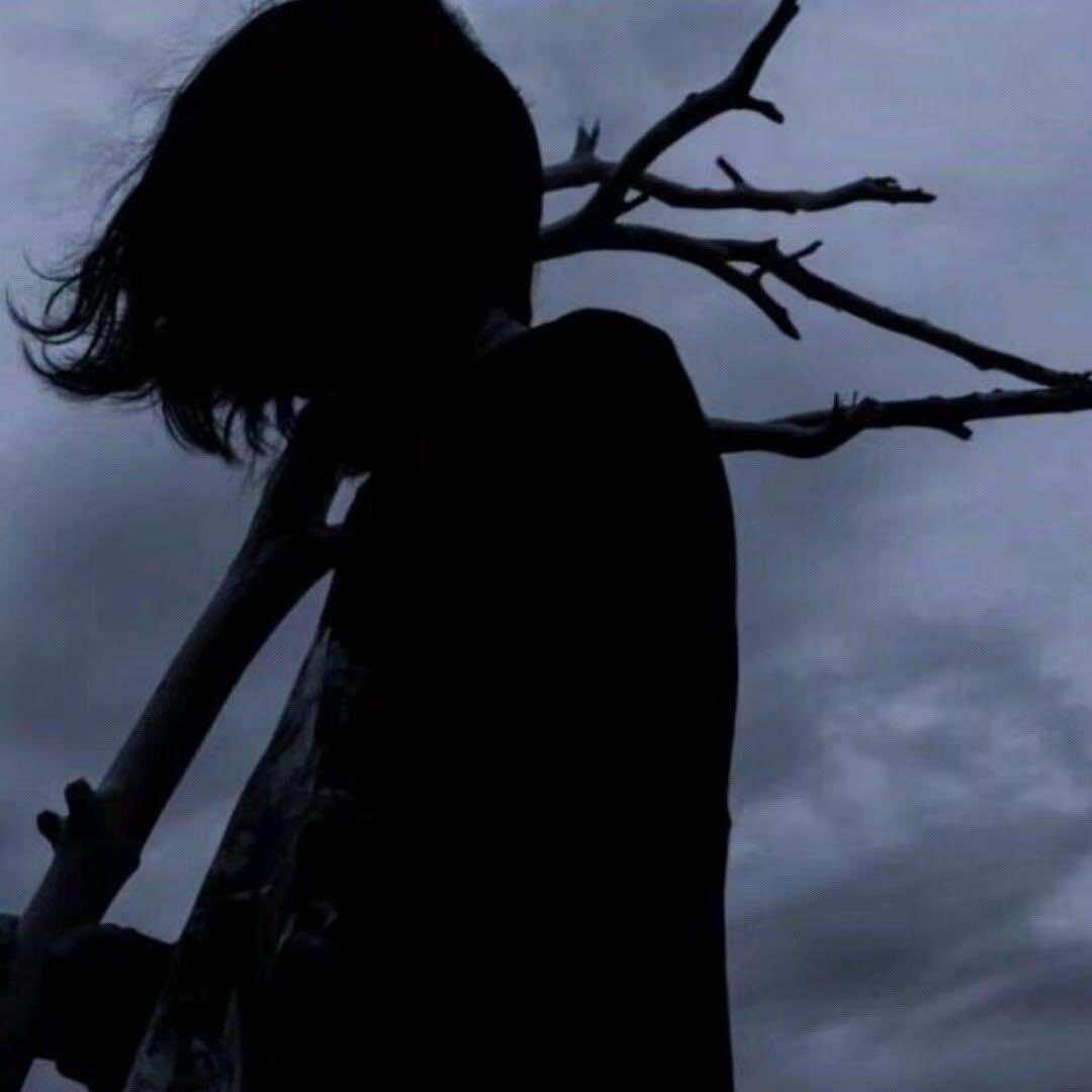 讯灵王也-直播号